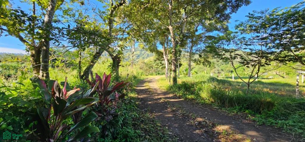 Unique Lot 9208m² , San Isidro del General, Perez Zeledon, San Jose