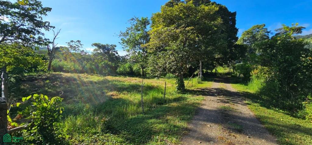 Unique Lot 9208m² , San Isidro del General, Perez Zeledon, San Jose