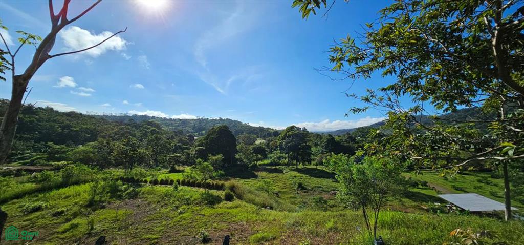 Unique Lot 9208m² , San Isidro del General, Perez Zeledon, San Jose