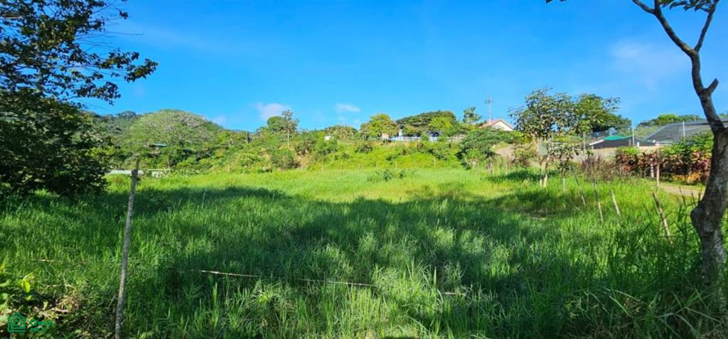 Unique Lot 9208m² , San Isidro del General, Perez Zeledon, San Jose