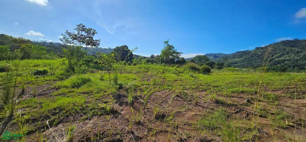 Unique Lot 9208m² , San Isidro del General, Perez Zeledon, San Jose