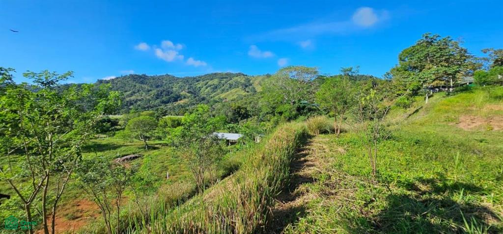 Unique Lot 9208m² , San Isidro del General, Perez Zeledon, San Jose