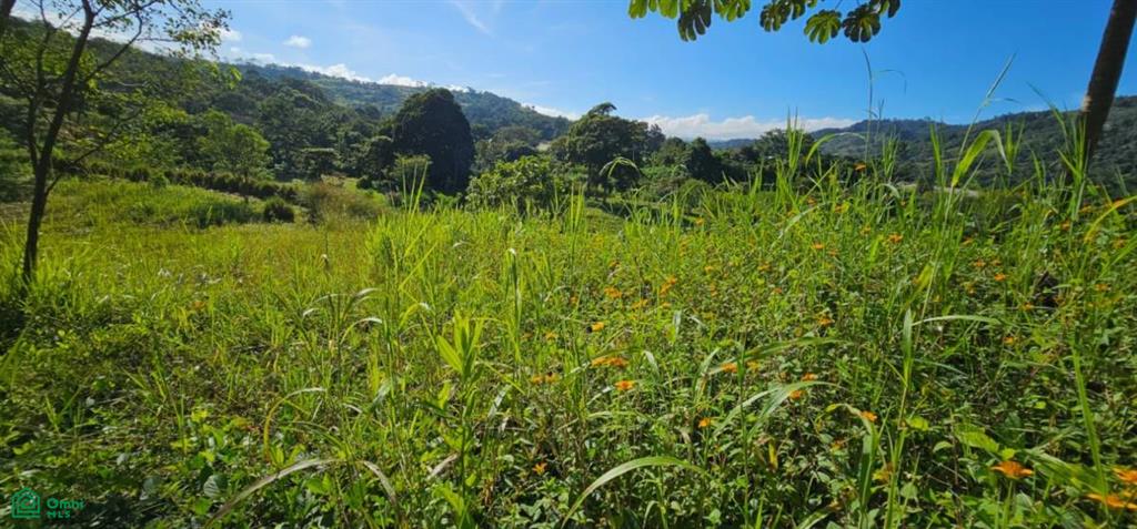 Unique Lot 9208m² , San Isidro del General, Perez Zeledon, San Jose