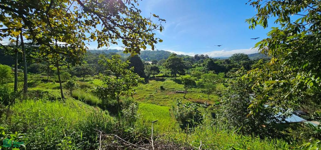 Unique Lot 9208m² , San Isidro del General, Perez Zeledon, San Jose