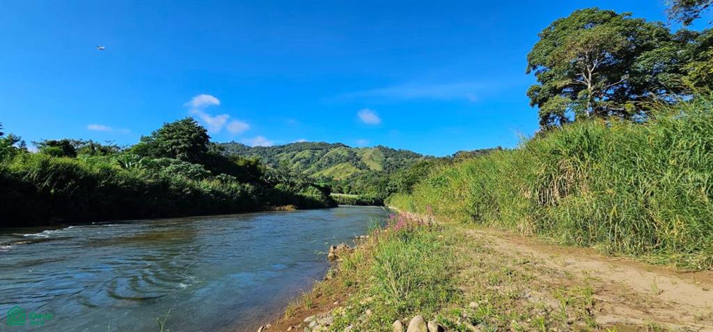 Unique Lot 9208m² , San Isidro del General, Perez Zeledon, San Jose