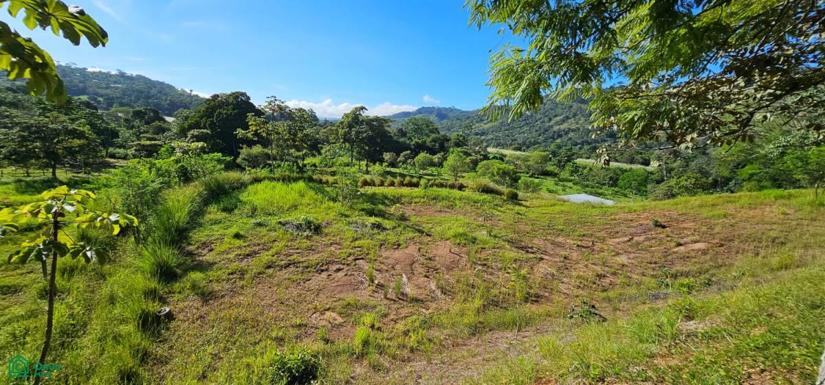 Unique Lot 9208m² , San Isidro del General, Perez Zeledon, San Jose