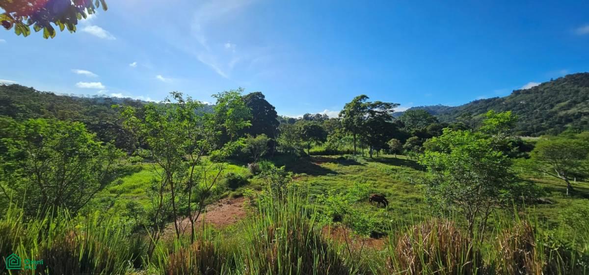 Unique Lot 9208m² , San Isidro del General, Perez Zeledon, San Jose