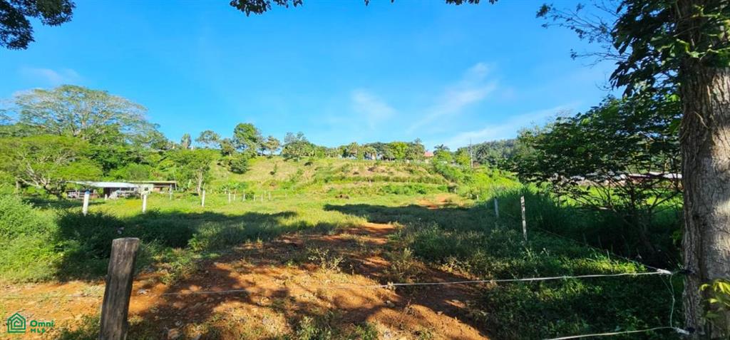 Unique Lot 9208m² , San Isidro del General, Perez Zeledon, San Jose