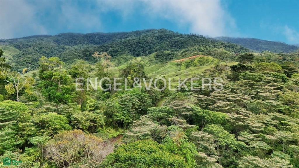 3,2 acres Panoramic Lot Santa Elena , General, Perez Zeledon, San Jose