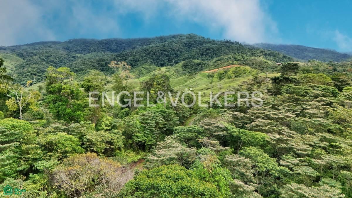 3,2 acres Panoramic Lot Santa Elena , General, Perez Zeledon, San Jose