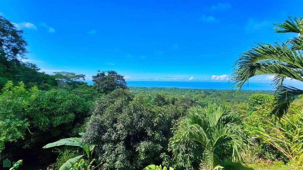 Whale Tail Grandview Villas , Bahía Ballena, Osa, Puntarenas