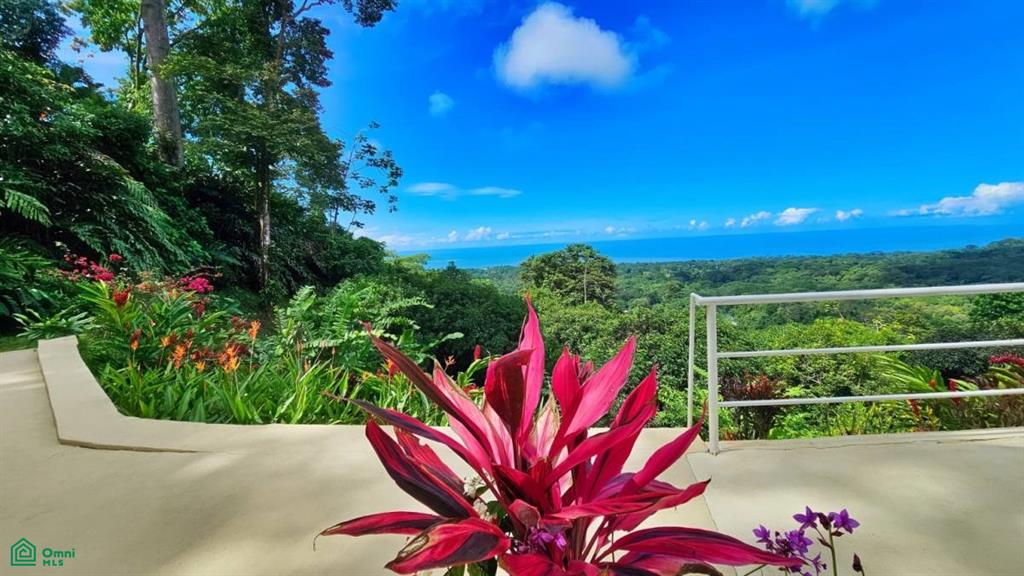 Whale Tail Grandview Villas , Bahía Ballena, Osa, Puntarenas