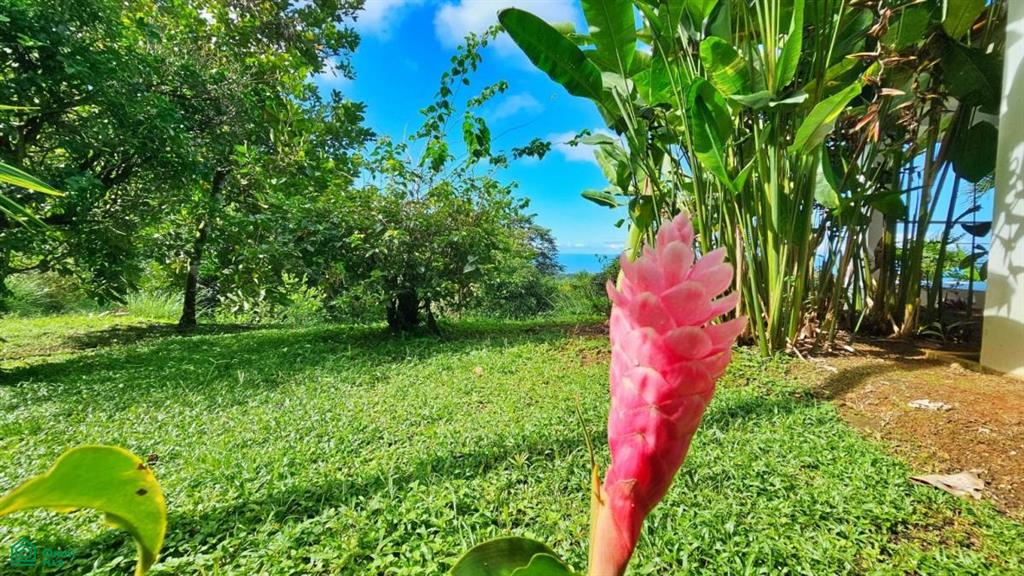Whale Tail Grandview Villas , Bahía Ballena, Osa, Puntarenas