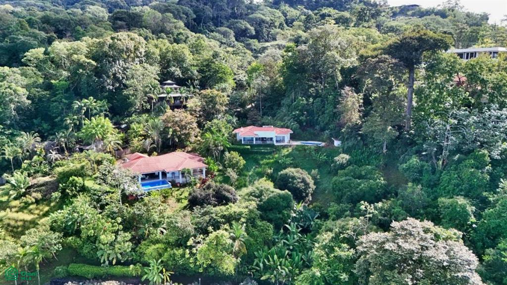 Whale Tail Grandview Villas , Bahía Ballena, Osa, Puntarenas