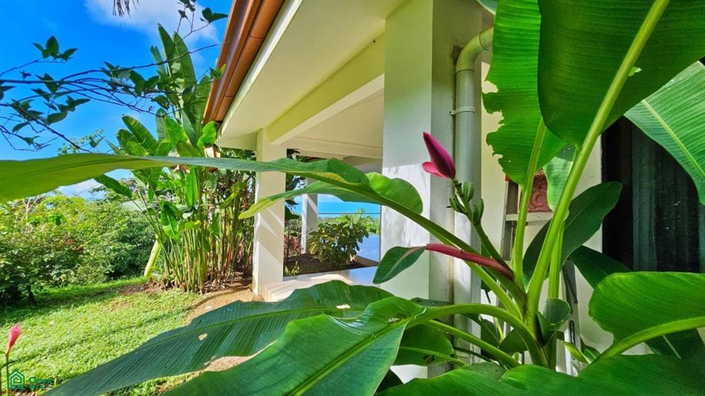 Whale Tail Grandview Villas , Bahía Ballena, Osa, Puntarenas