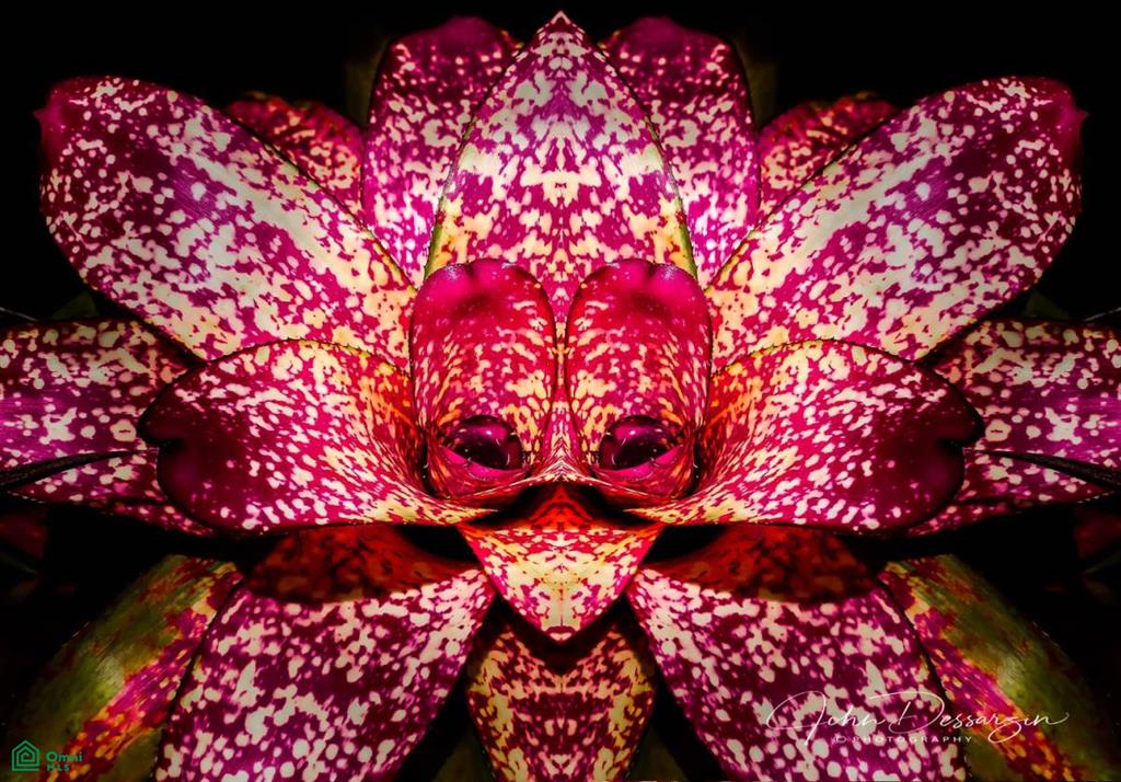 Glass Farmhouse , Atenas, Atenas, Alajuela