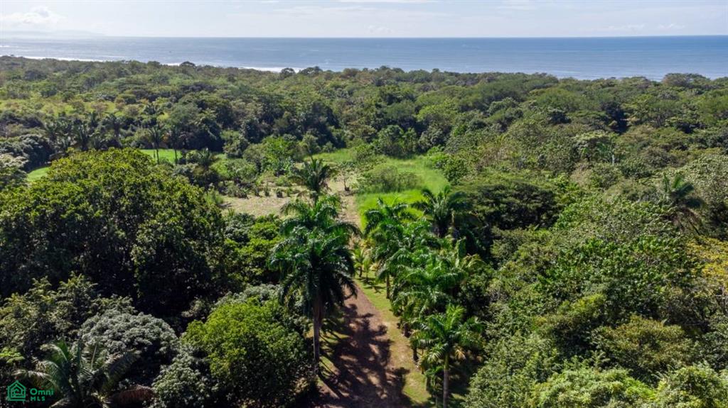 Villa Escondida | Playa Camaronal , Zapotal, Nandayure, Guanacaste