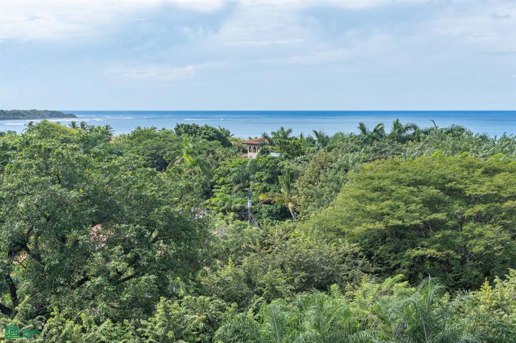 Peninsula Penthouse , Tamarindo, Guanacaste