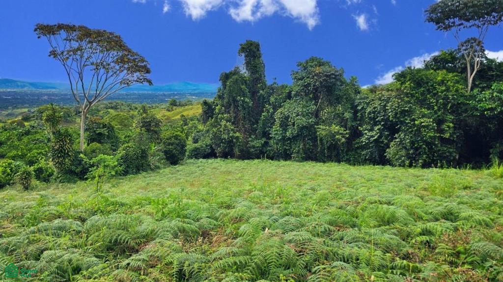 Lot Cielo Verde , San Isidro del General, Perez Zeledon, San Jose