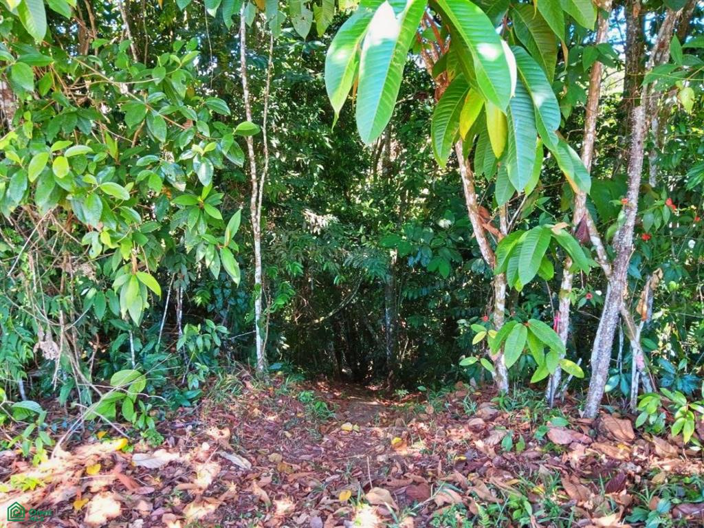 Lot Cielo Verde , San Isidro del General, Perez Zeledon, San Jose