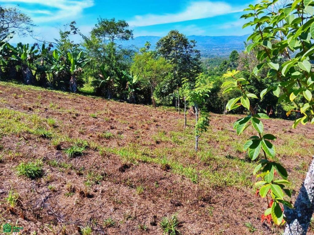 Lot Cielo Verde , San Isidro del General, Perez Zeledon, San Jose