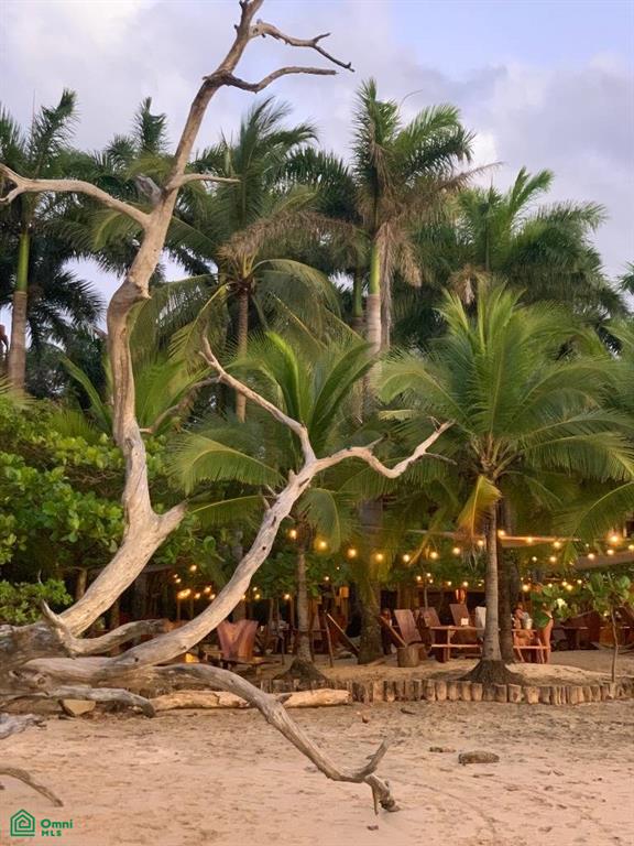 Numandi Land & 3-Bed Residence – Playa Avellanas , Tamarindo, Santa Cruz, Guanacaste