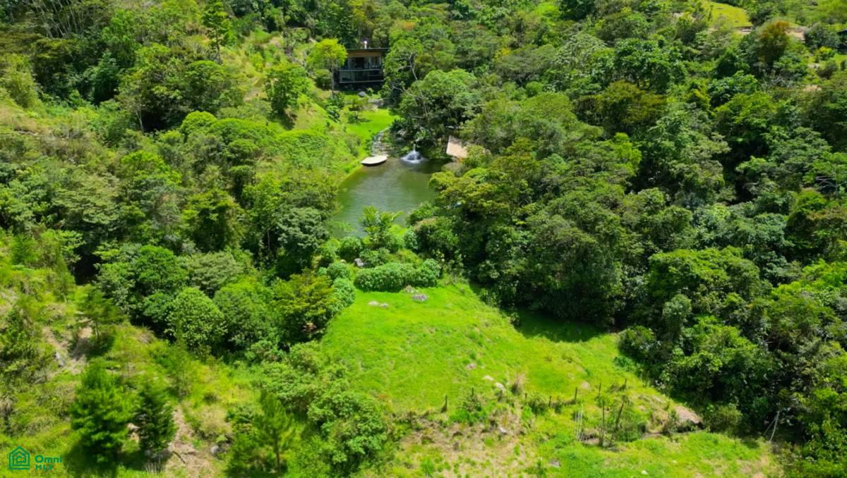 Finca Soñada , Rivas, Perez Zeledon, San Jose