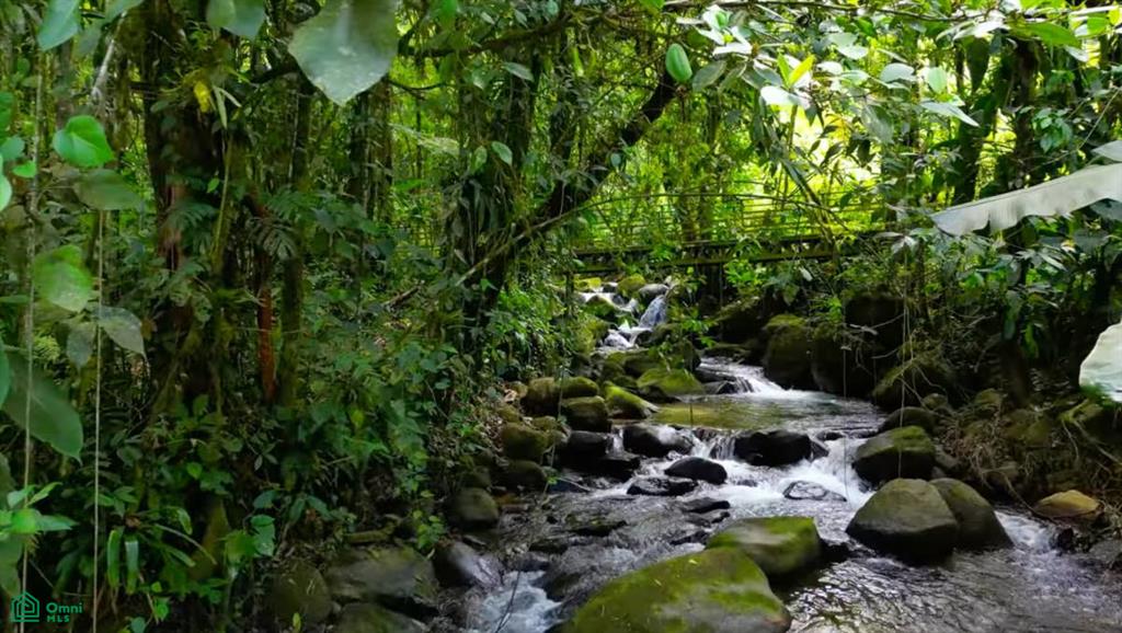 Finca Soñada , Rivas, Perez Zeledon, San Jose