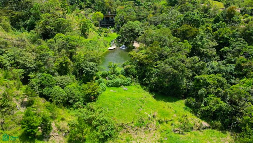Finca Soñada , Rivas, Perez Zeledon, San Jose