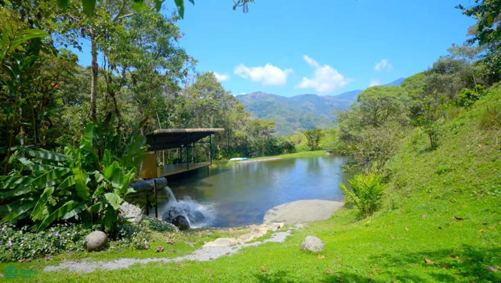 Finca Soñada , Rivas, Perez Zeledon, San Jose