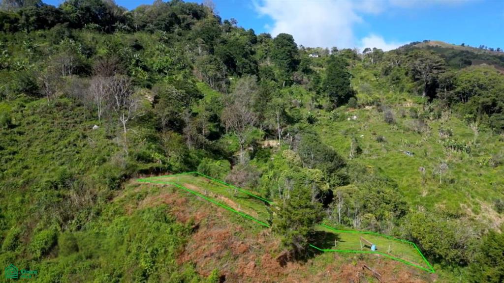 Vistas Los Angeles , Rivas, Perez Zeledon, San Jose