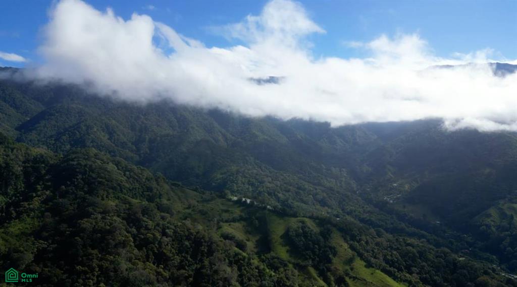 Vistas Los Angeles , Rivas, Perez Zeledon, San Jose
