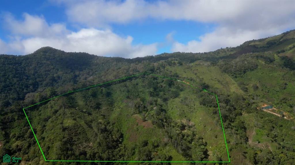 Vistas Los Angeles , Rivas, Perez Zeledon, San Jose