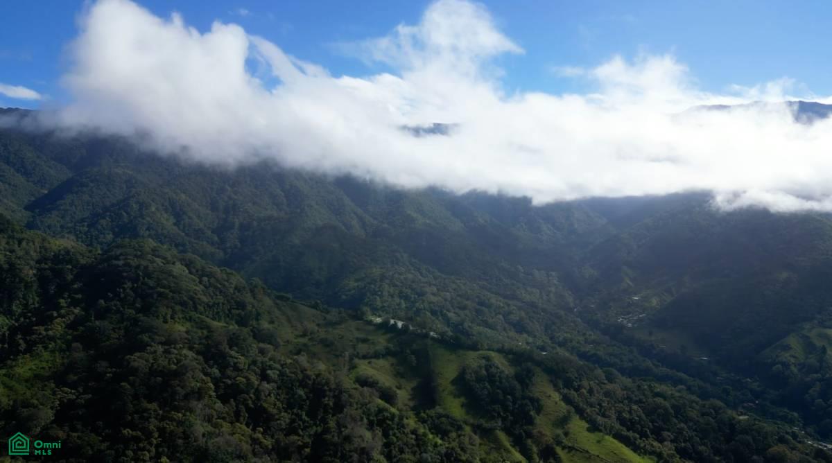 Vistas Los Angeles , Rivas, Perez Zeledon, San Jose