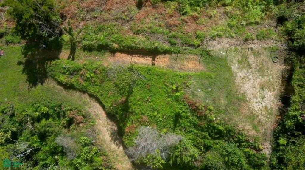 Vistas Los Angeles , Rivas, Perez Zeledon, San Jose