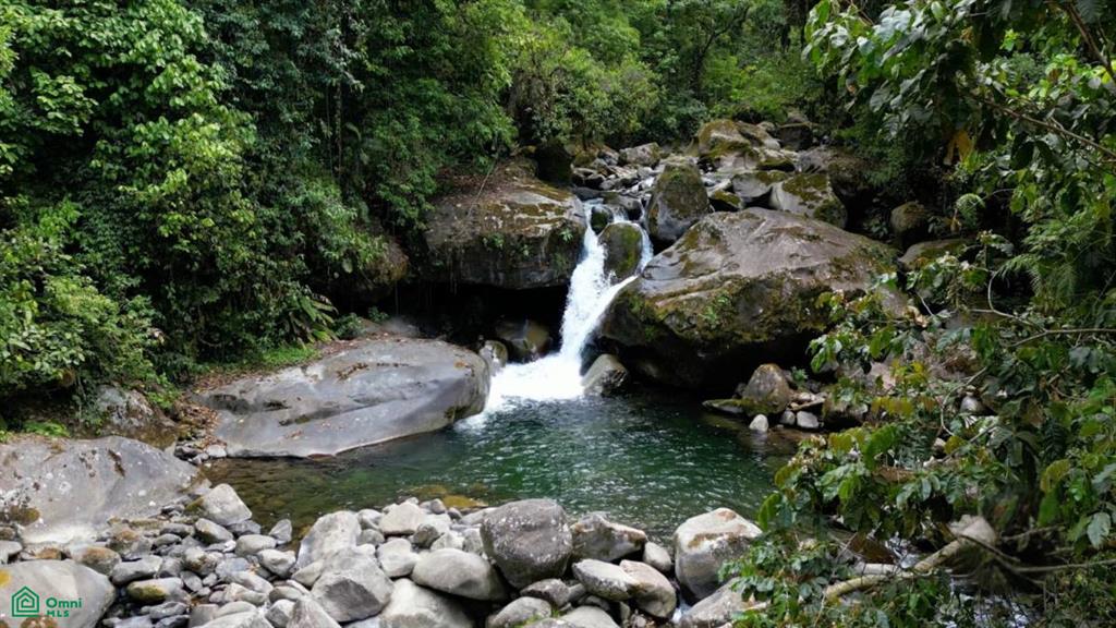 Los Angeles Estate , Rivas, Perez Zeledon, San Jose
