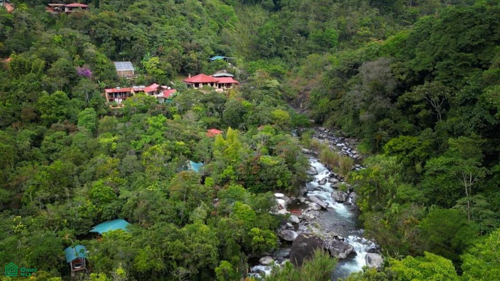 Los Angeles Estate , Rivas, Perez Zeledon, San Jose