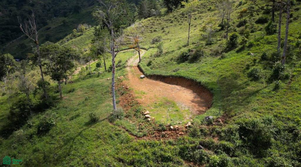 Los Pinos Los Angeles , Rivas, Perez Zeledon, San Jose