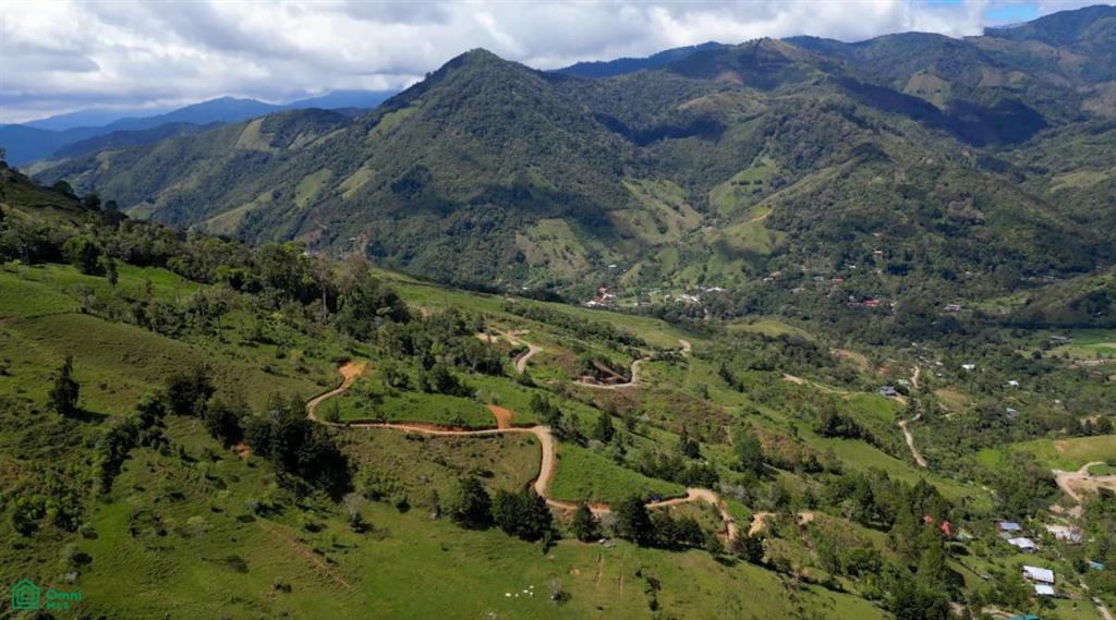 Los Pinos Los Angeles , Rivas, Perez Zeledon, San Jose