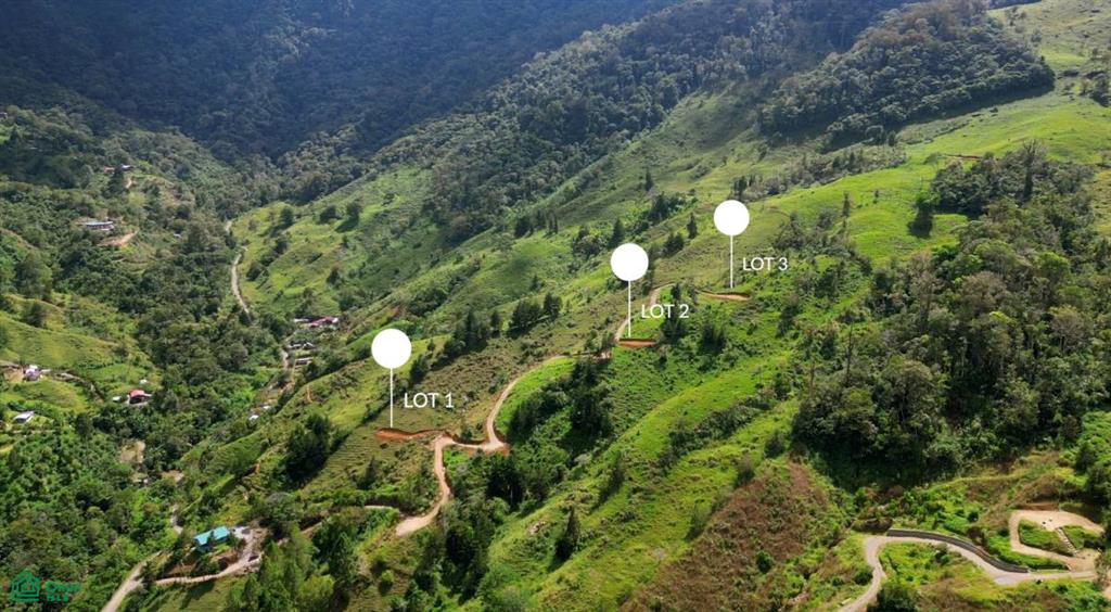 Los Pinos Los Angeles , Rivas, Perez Zeledon, San Jose