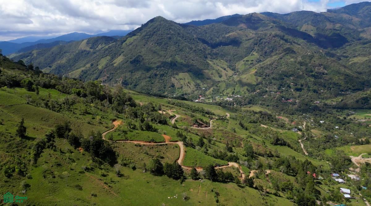 Los Pinos Los Angeles , Rivas, Perez Zeledon, San Jose