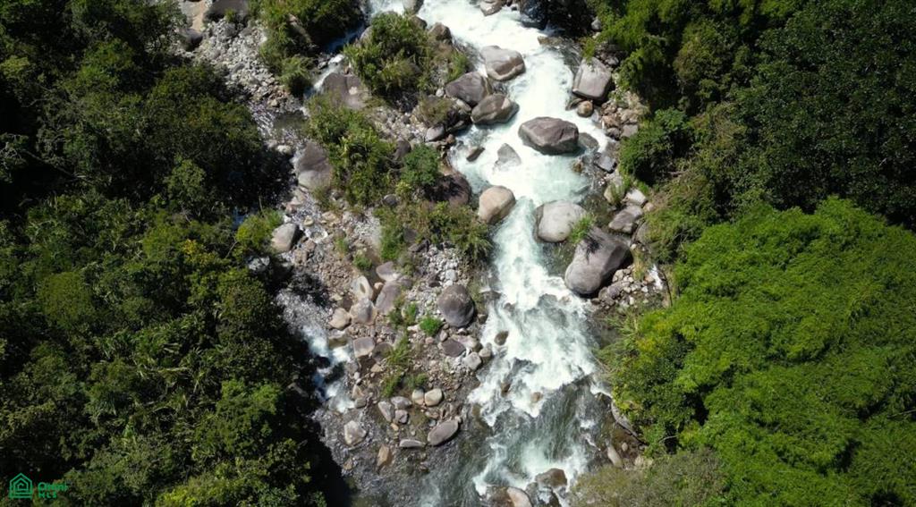 Los Pinos Los Angeles , Rivas, Perez Zeledon, San Jose