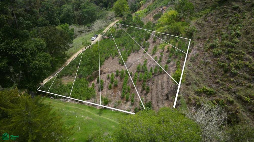 Vista Cascada , Rivas, Perez Zeledon, San Jose