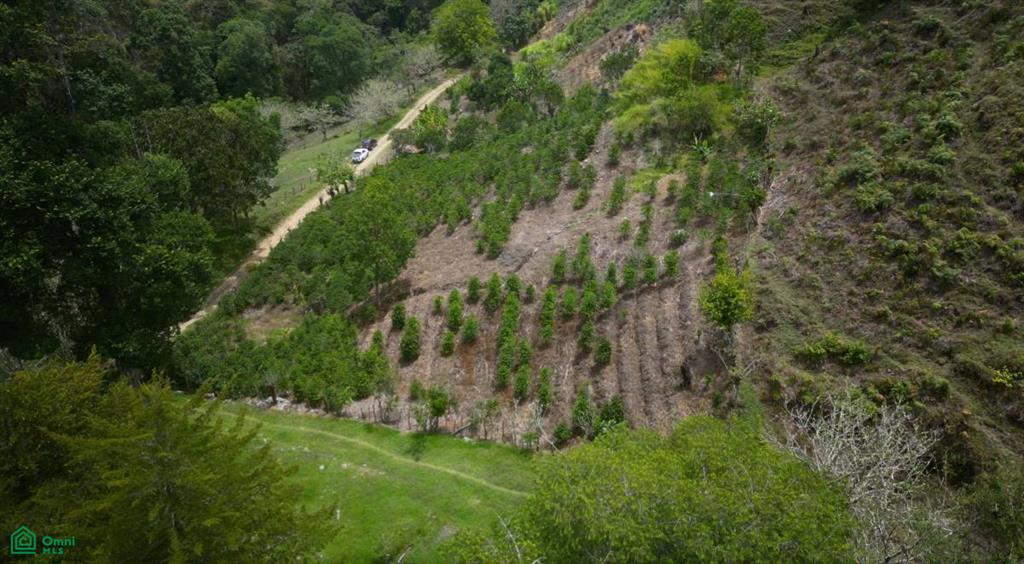 Vista Cascada , Rivas, Perez Zeledon, San Jose