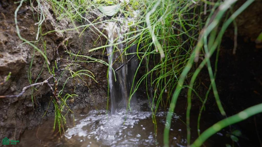 Vista Cascada , Rivas, Perez Zeledon, San Jose