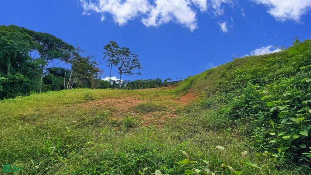 Lote con Vista Espectacular al Valle y al Chirripó , General, Perez Zeledon, San Jose