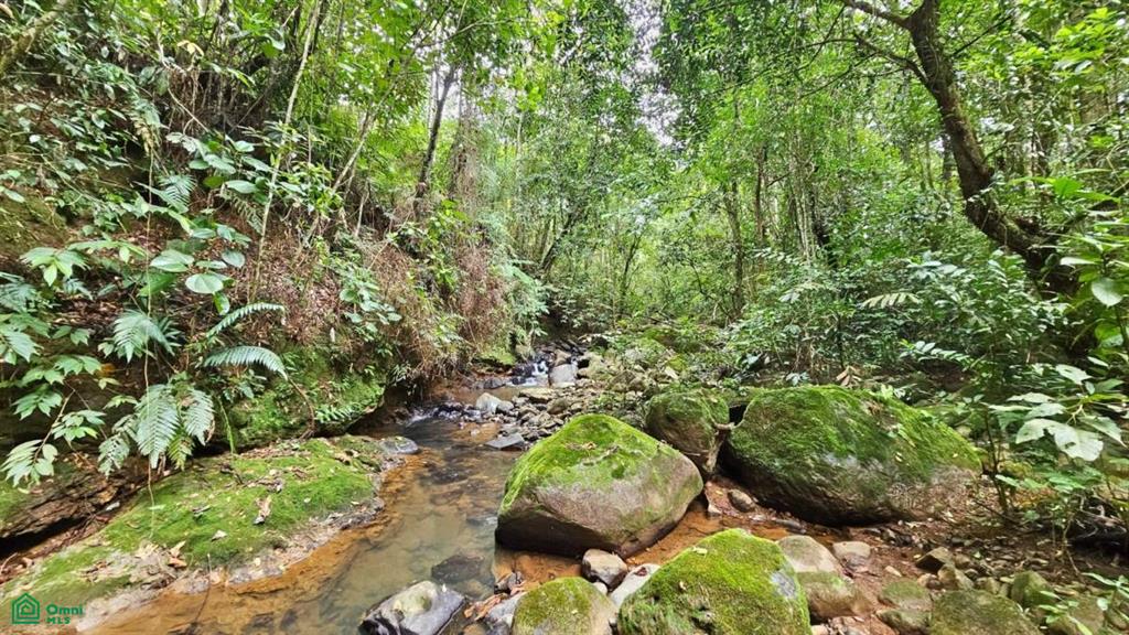 Lote con Vista Espectacular al Valle y al Chirripó , General, Perez Zeledon, San Jose