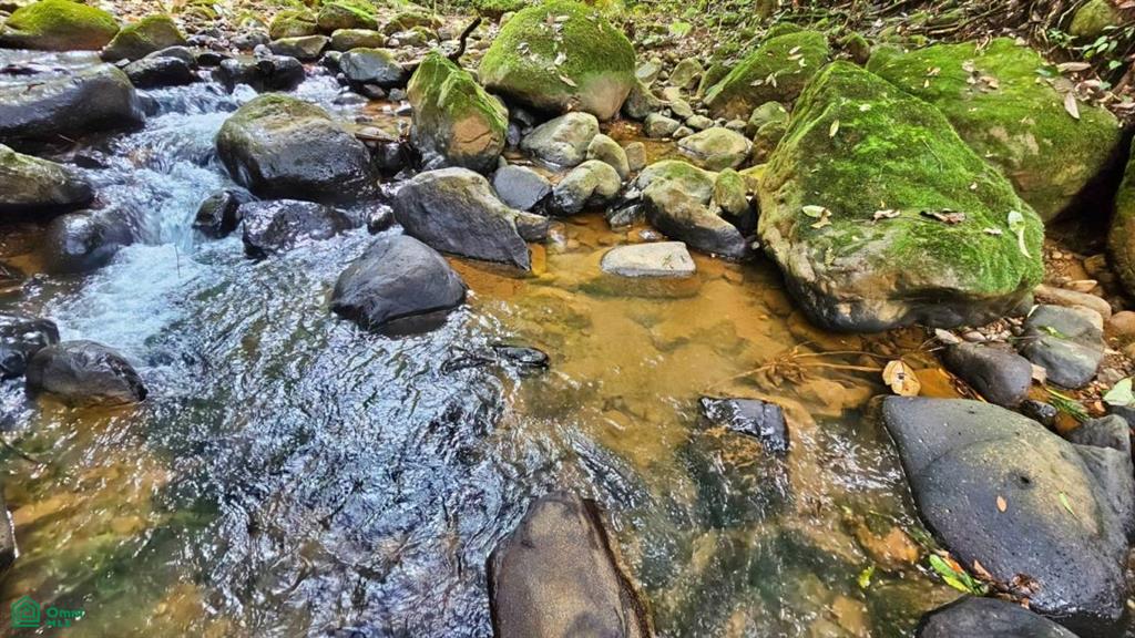 Lote con Vista Espectacular al Valle y al Chirripó , General, Perez Zeledon, San Jose