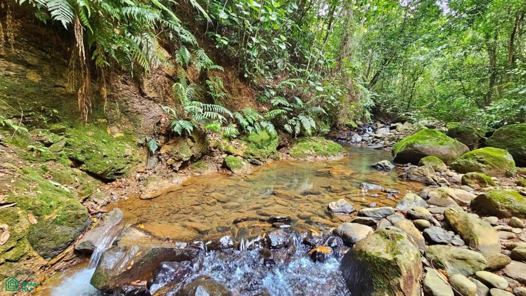 Lote con Vista Espectacular al Valle y al Chirripó , General, Perez Zeledon, San Jose
