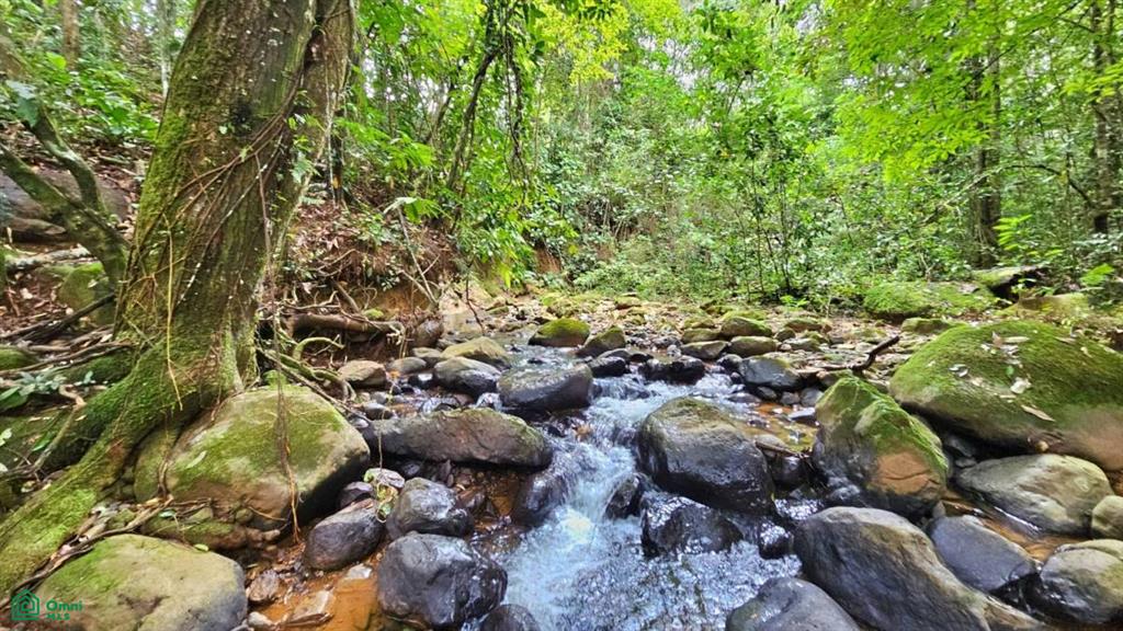 Lote con Vista Espectacular al Valle y al Chirripó , General, Perez Zeledon, San Jose